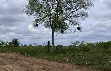 Imagem 4: Vendo terrenos em São José, Feira de Santana