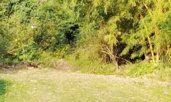 Imagem 3: Terreno 44.044 m2