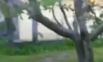 Imagem 4: Casa em barra grande vera cruz