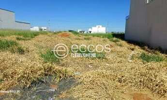 Imagem: Terreno para aluguel, Alto Umuarama - Uberlândia/MG
