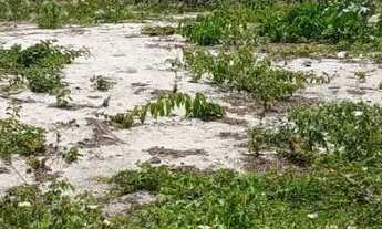 Imagem 3: Terreno 360m2 frente lagoa grande em Ponta da Fruta
