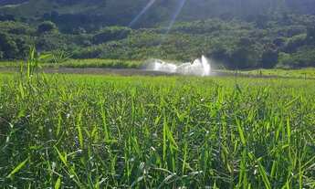 Imagem 4: Imóvel para venda possui 6630800 metros quadrados em Centro - Mimoso do Sul - ES