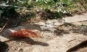 Imagem 6: Terreno à venda, 30000 m² por R$ 10.000.000,00 - Maravista - Niterói/RJ