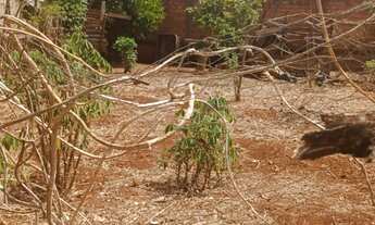 Imagem 2: Vende-se lote em Goianira