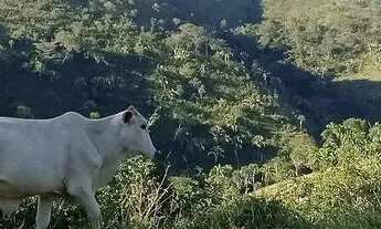 Imagem: Fazenda escriturada terra cultura Fercal