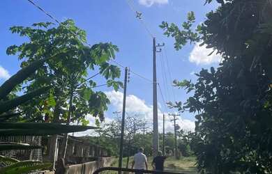 Imagem 4: Fazenda em Marechal Deodoro