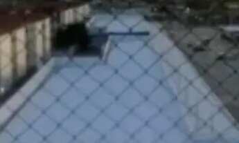 Imagem 5: BELÍSSIMO APARTAMENTO COM 3 QUARTOS EM PEIXINHOS