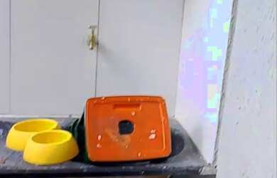 Imagem 3: Alugo casa 3 quartos Coophamil