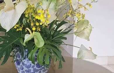 Imagem 4: Imóvel para aluguel tem 486 metros quadrados com 4 quartos em Vila Nova Conceição - São Pa