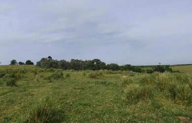 Imagem 6: área - Santo Antonio - Louveira