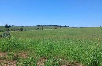 Imagem 7: FAZENDA DE CULTURA C/ PIVÔS EM MORRINHOS 71,5 ALQUERES - Morrinhos - GO