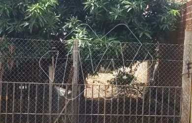 Imagem 3: Venda de Terreno / Padrão na cidade de Araraquara