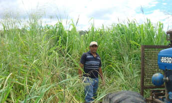 Imagem 6: Fazenda em Corumbá - MS. 20.070 hectares