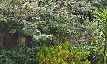 Imagem 7: Chacara em Nova Almeida