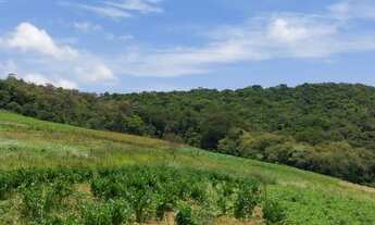 Imagem 7: Cotia - otima localizaçao