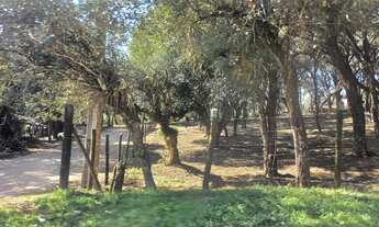 Imagem 4: 29 Lotes Planos de 1000m² em Ibiúna-SP 1U65NVD