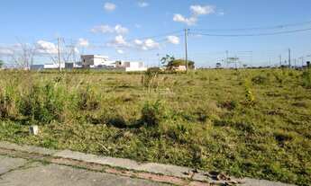 Imagem 7: Campos dos Goytacazes - Terreno Padrão - Donana