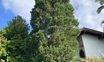 Imagem 5: Casa com 3 dormitórios à venda, 390 m² por R$ 3.750.000,00 - G - Campo Bom/RS