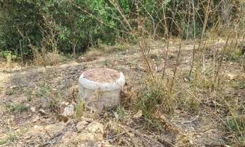 Imagem 6: Lote com muita água corrente