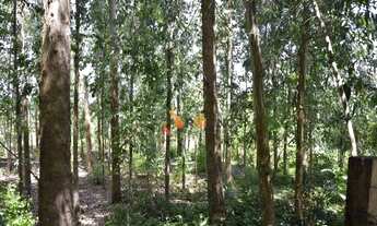 Imagem 6: Chácara com 2 dormitórios à venda, 9075 m² por R$ 870.000,00 - Florestal - Quatro Barras/P