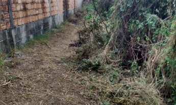 Imagem 3: Terreno no jardim boa esperança