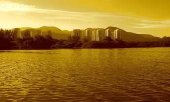 Imagem 4: Vendo Excelente Apartamento Barra Bali,3 quartos,82m2