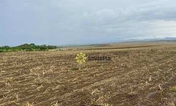 Imagem 4: Fazenda plantando em Paraíso do Tocantins/TO