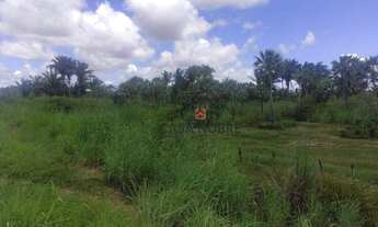 Imagem 2: Vende-se Fazenda em Vargem Grande/MA com 2mil Hectares