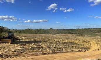 Imagem 5: Fazenda à venda, 610Ha (126 alqueires) - em Dois Irmãos do Tocantins-TO