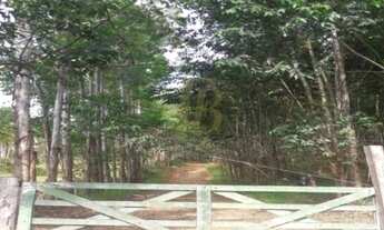 Imagem 6: EXCELENTE OPORTUNIDADE EM CAMPINAS