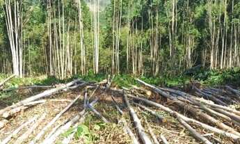 Imagem: Lote/Terreno para venda com 2,500 metros