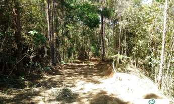 Imagem 5: EXCELENTE PROPRIEDADE EM TERESÓPOLIS