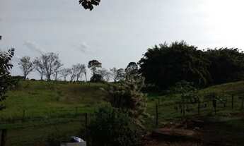 Imagem 6: Sítio 4 Alqueires em Maringá- Próximo ao Porco no Taxo - São Domingos Estrada Centenário