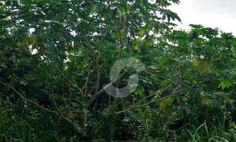 Imagem 7: Terreno à venda, 2700 m² por R$ 600.000,00 - Itaipuaçu - Maricá/RJ