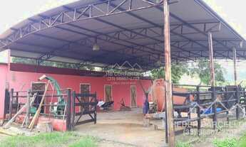 Imagem 7: Pescador - Fazenda - Zona Rural Pescador