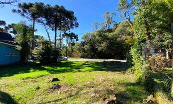 Imagem 8: Terreno à venda, 800 m² por R$ 1.272.000,00 - Planalto - Gramado/RS