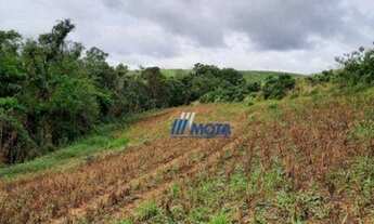 Imagem 7: Chácara à venda, 16429 m² por R$ 250.000,00 - Zona Rural - Contenda/PR