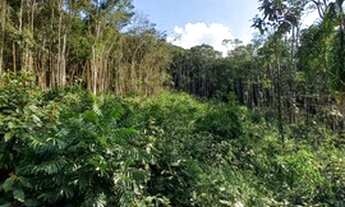 Imagem: 1.000m2 na Região de Ibiuna próximo a