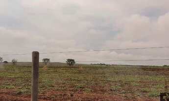Imagem 7: LINDA FAZENDA A 55MIN. DE GOIÂNIA - GO