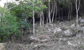 Imagem 3: Terreno, Praia da Gamboa - Garopaba/SC