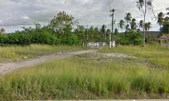 Imagem 2: Fazenda rural à venda, Reta Tabajara, Macaíba - FA0006