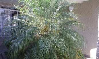 Imagem 3: Casa com 1 dormitório à venda, 260 m² por R$ 890.000,00 - Vila Nova - Itu/SP