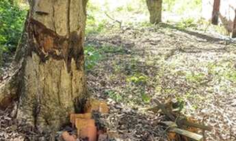 Imagem 7: Lote de 375 metros nos Cajueiros - Itaipuaçu!!!