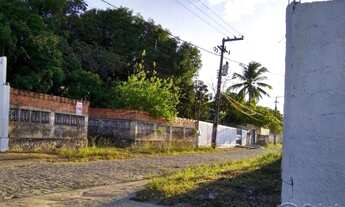 Imagem: São Cristóvão - Chácara - PEDREIRAS