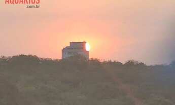 Imagem 7: Apartamento com 2 dormitórios à venda, 50 m² por R$ 207.000,00 - Bosque dos Eucaliptos - S