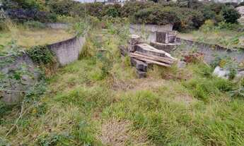 Imagem 2: Terreno à venda, 683 m² por R$ 1.500.000,00 - Jardim Maria Duarte - São Paulo/SP