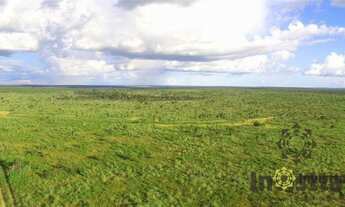 Imagem 5: Fazenda à venda, 2.130 Hectares em Colinas do Tocantins/TO