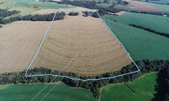 Imagem 3: 10.5 alq. Com 9.3 mecanizado em Sta Tereza