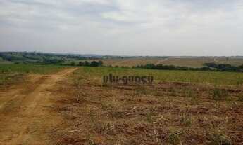 Imagem 5: Fazenda à venda, 1101100 m² por R$ 12.000.000,00 - Avecuia do Alto - Porto Feliz/SP