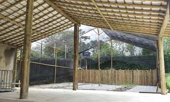 Imagem 6: Lindo sitio medindo 27 mil metros com nascente de agua mineral